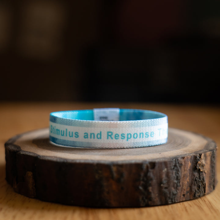 Pole Vault Band - Between Stimulus and Response there is Space