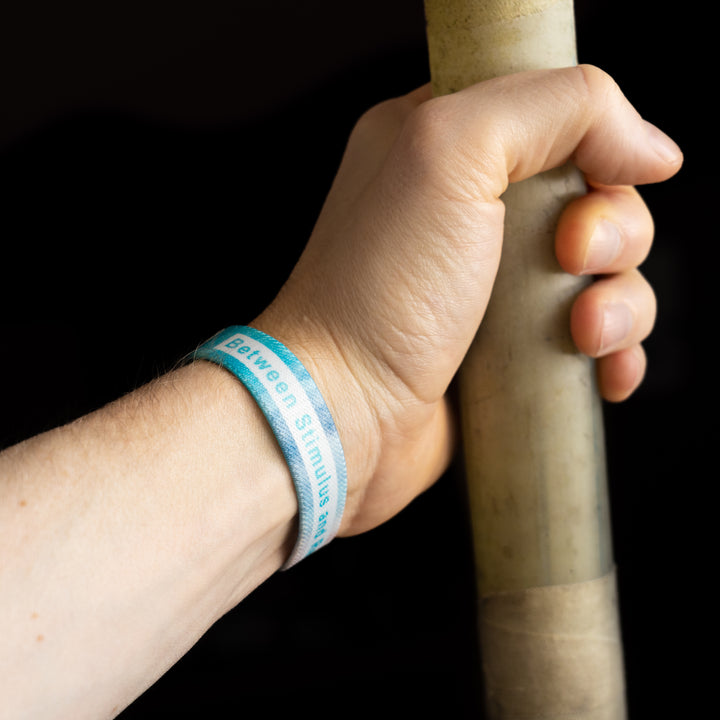 Pole Vault Band - Between Stimulus and Response there is Space